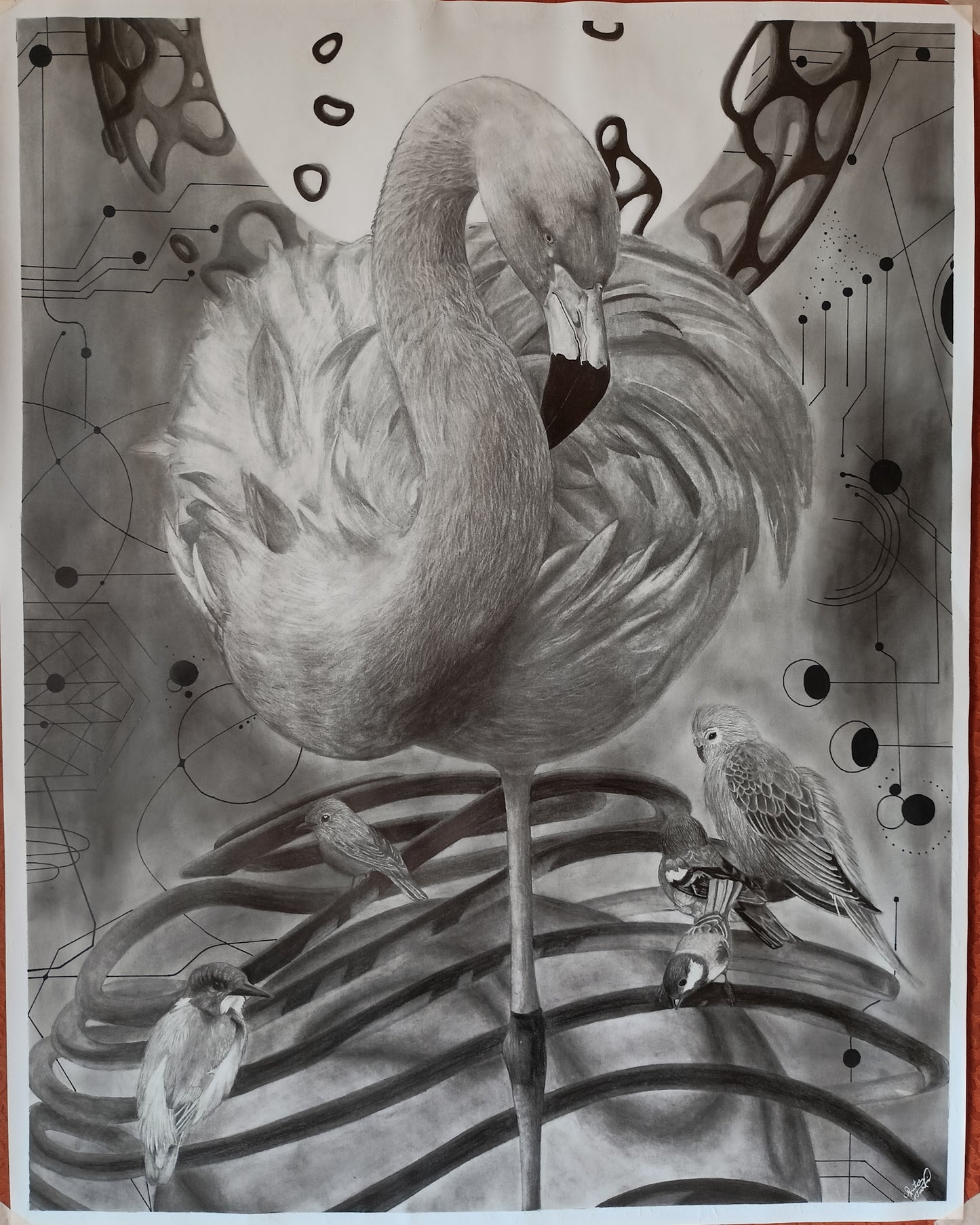 Morning Mood - Graphite on Paper