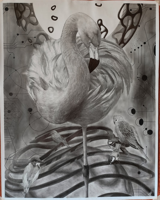 Morning Mood - Graphite on Paper