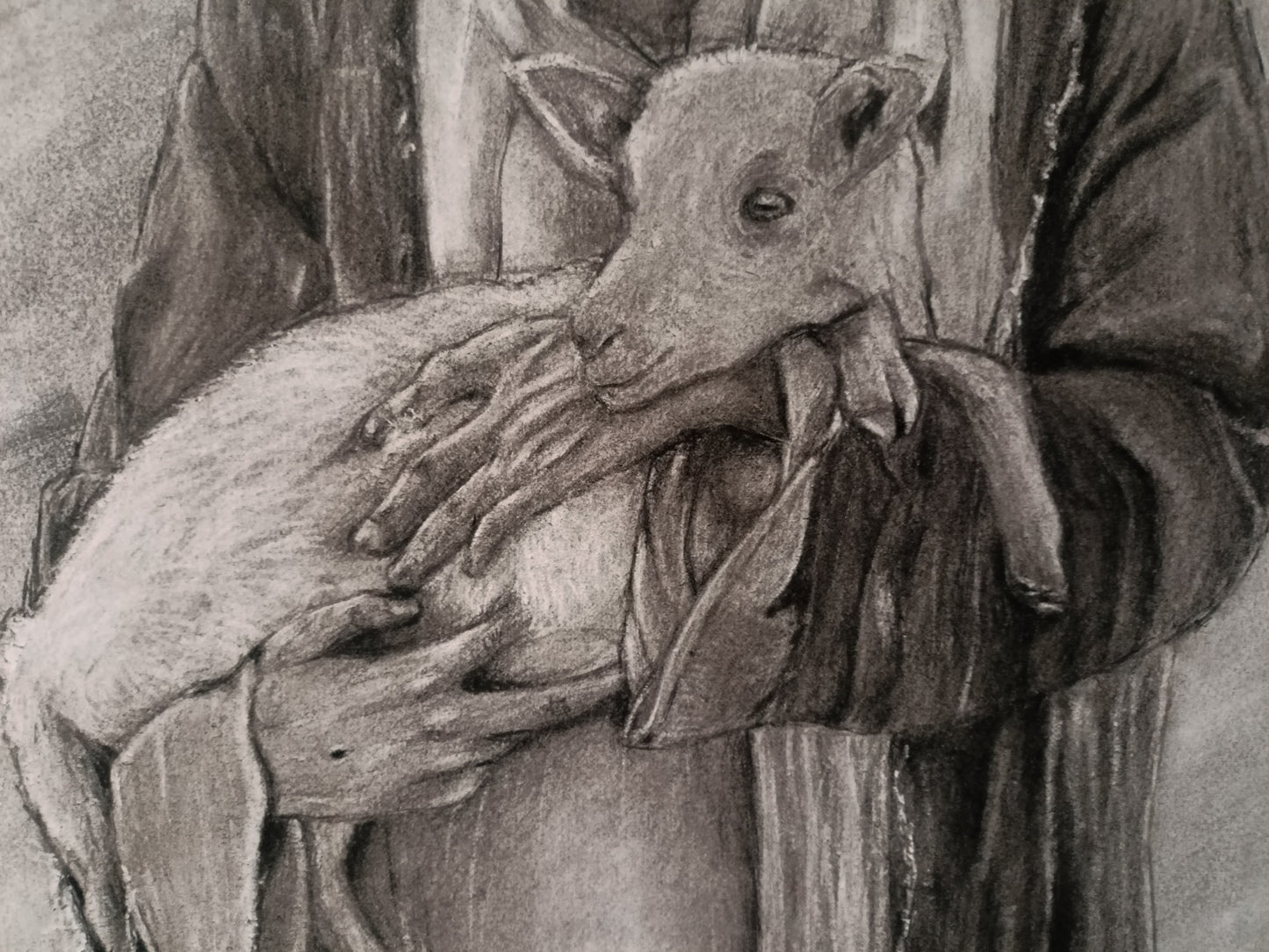 Not Forgotten (Luke 15:4) - Original Charcoal